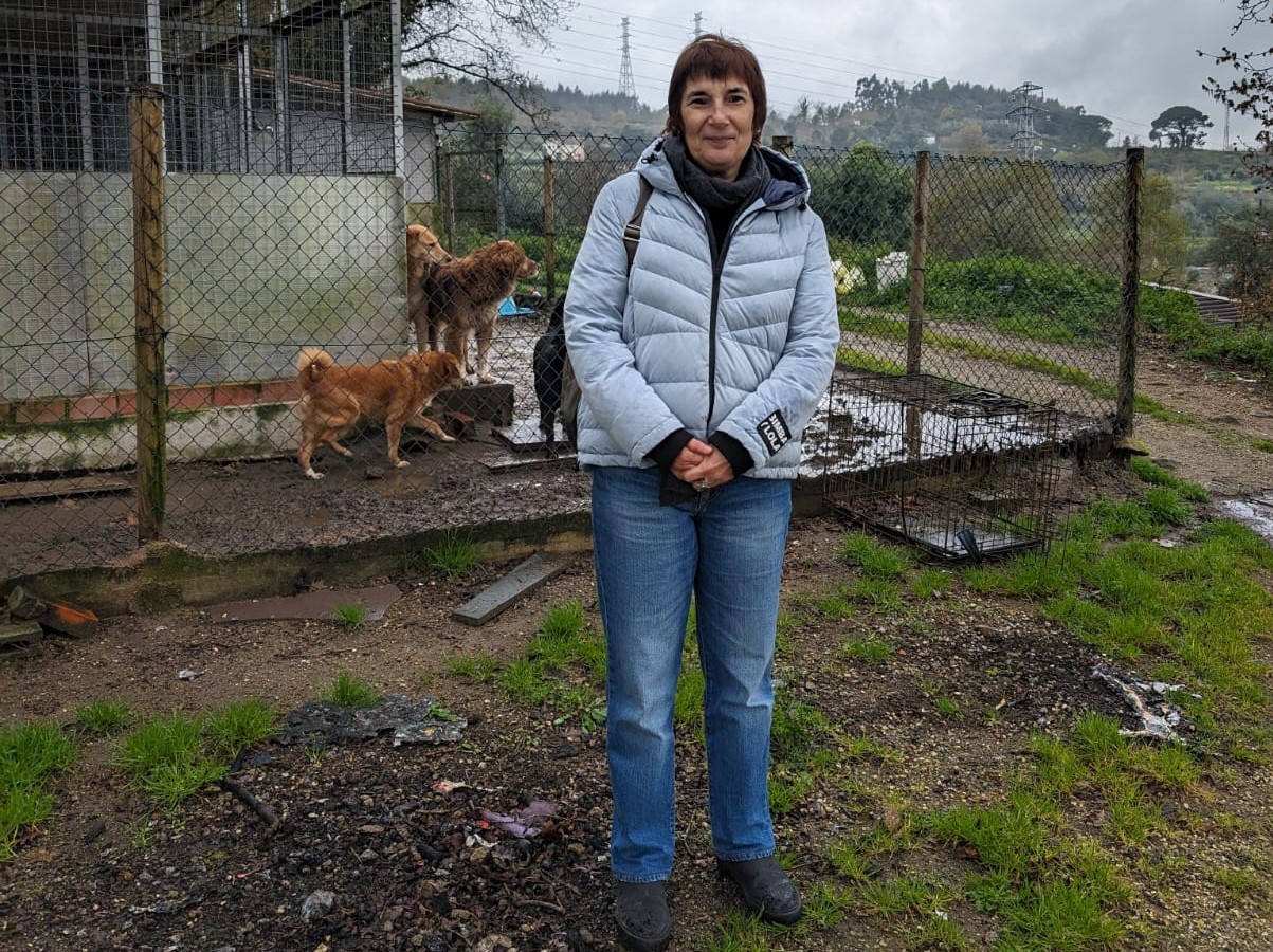 Eleições. Teresa Mota (Livre) considera “essencial” trabalho em rede a nível nacional para promoção do bem-estar animal