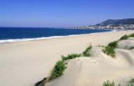 Regulamento das praias entre Caminha e Espinho está em análise há oito meses