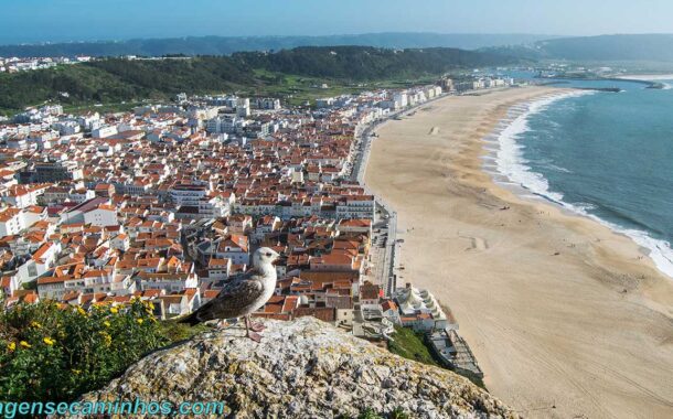 Nazaré é cidade portuguesa com níveis de poluição mais altos
