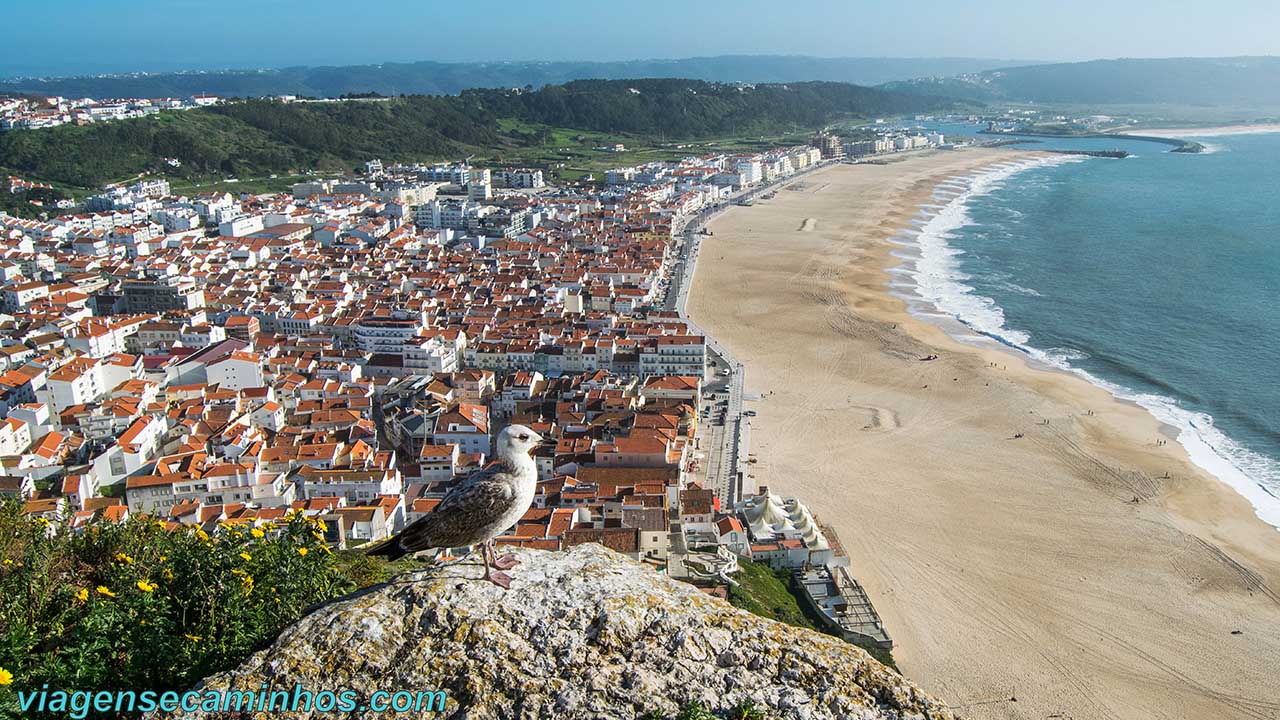 Nazaré é cidade portuguesa com níveis de poluição mais altos