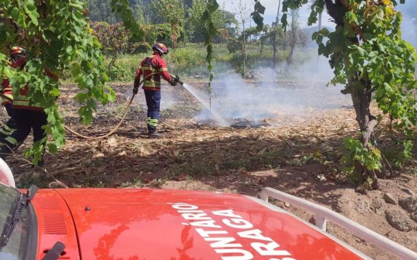 CDS de Braga solidário com reclamação dos bombeiros voluntários de condições mais dignas para operacionais