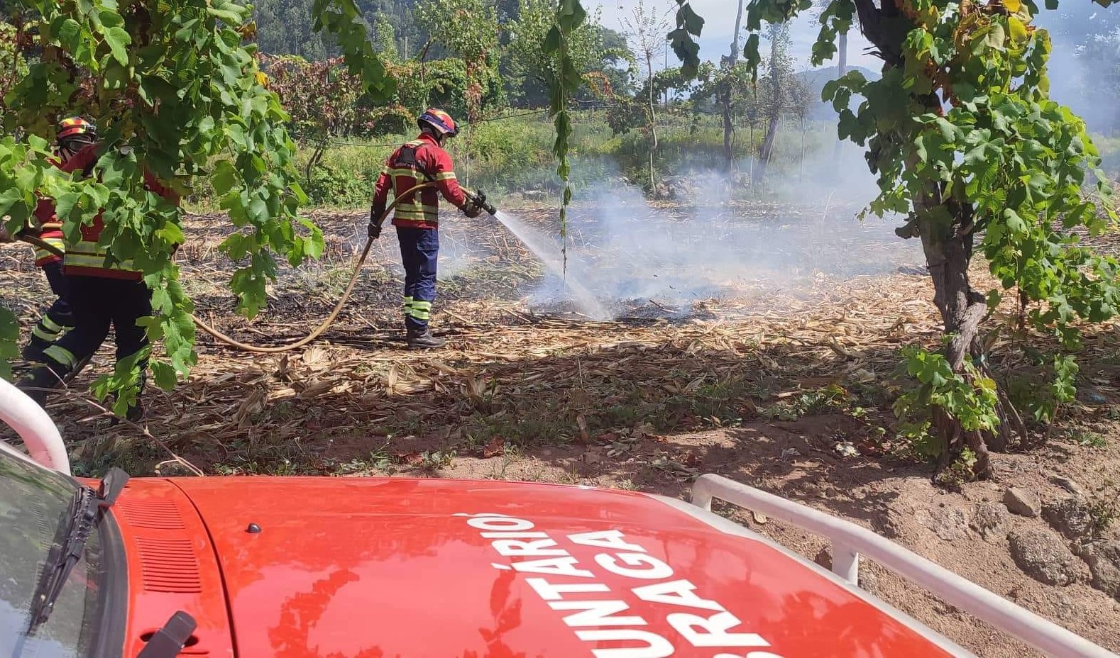 CDS de Braga solidário com reclamação dos bombeiros voluntários de condições mais dignas para operacionais