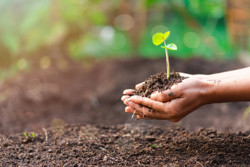 Caminha aprova Plano de Acção Climática para ser “referência” na sustentabilidade