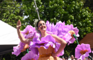Festa da Flor enche Famalicão de cor este fim-de-semana