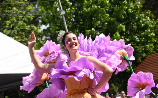 Festa da Flor enche Famalicão de cor este fim-de-semana