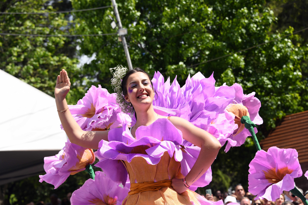 Festa da Flor enche Famalicão de cor este fim-de-semana