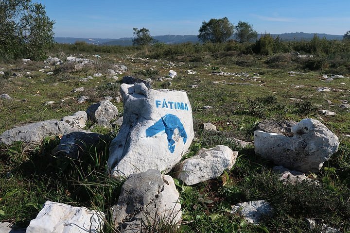 Peregrinações organizadas de mais de 20 países a caminho de Fátima