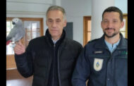 Desaparecida há 8 meses de Braga, Lola foi encontrada em Guimarães