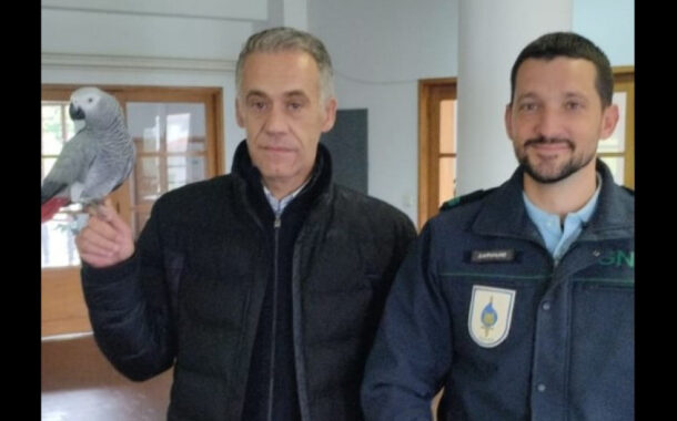 Desaparecida há 8 meses de Braga, Lola foi encontrada em Guimarães