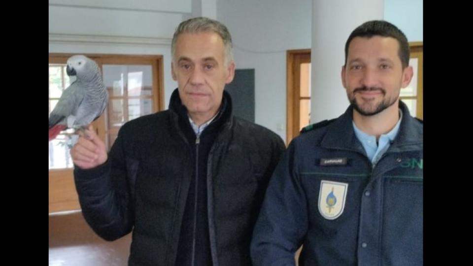 Desaparecida há 8 meses de Braga, Lola foi encontrada em Guimarães