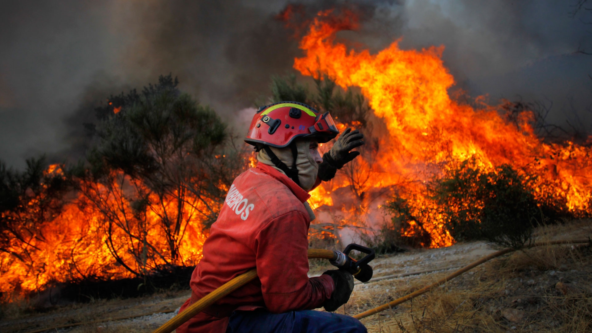 Apesar de “sinais positivos”, relatório alerta para possibilidade de fogos “mais rápidos e severos”