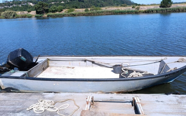Desmantelada rede internacional de pesca ilegal de meixão com ramificações em Esposende