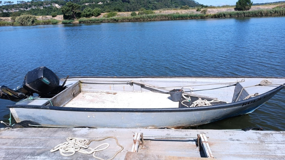Desmantelada rede internacional de pesca ilegal de meixão com ramificações em Esposende