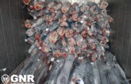 Cooperativa de Viana acusa GNR de denegrir pesca em comunicado de apreensão