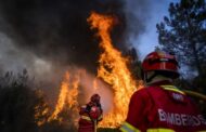 Braga e Viana do Castelo são ‘campeões’ em fogos rurais e área ardida