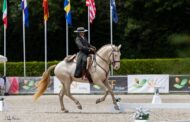 Feira do Cavalo de Ponte de Lima oferece programa variado de quinta a domingo