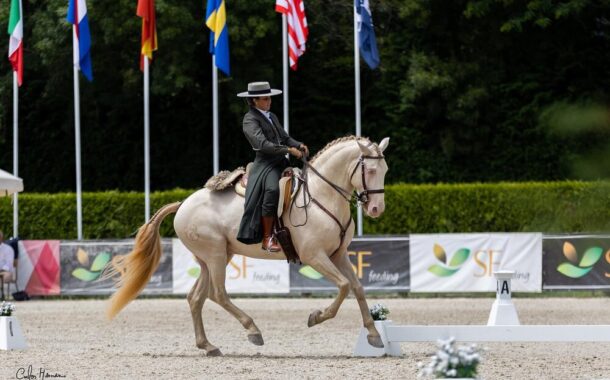 Feira do Cavalo de Ponte de Lima oferece programa variado de quinta a domingo