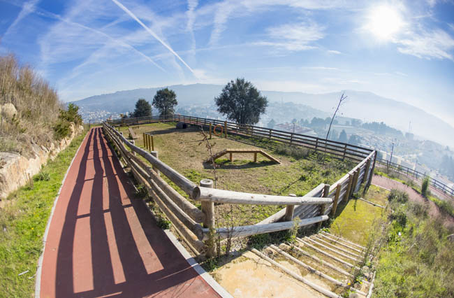 Picoto acolhe proclamação da Declaração do Quilómetro Zero mundial dos parques urbanos de flora autóctone