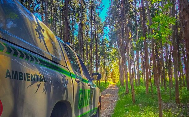 GNR detém homem por incêndio florestal em Guimarães
