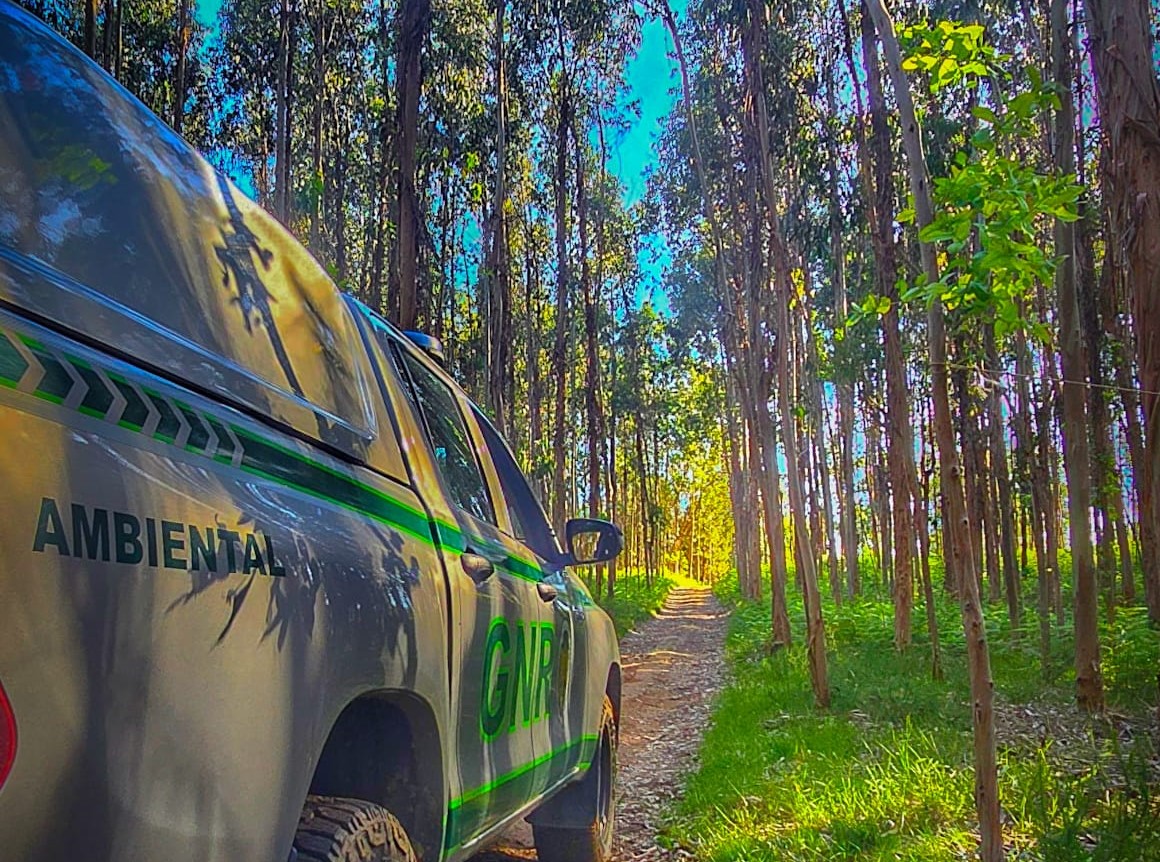 GNR detém homem por incêndio florestal em Guimarães