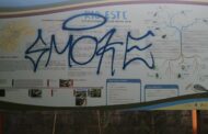 Ambientalista denuncia actos de vandalismo na Ecovia do rio Este em Braga