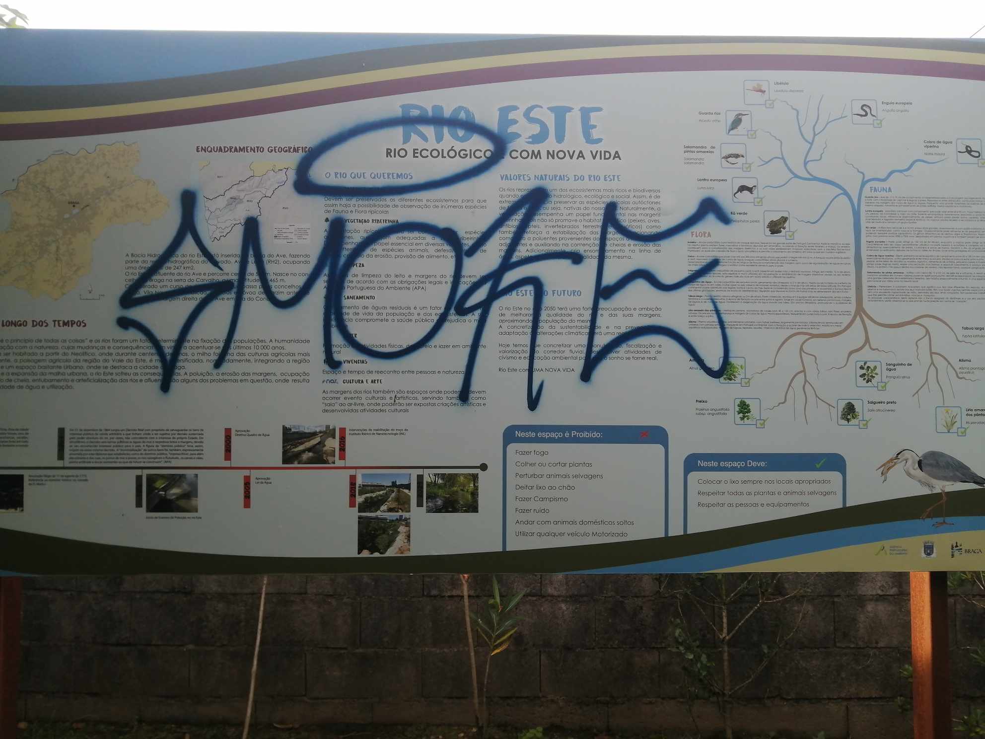 Ambientalista denuncia actos de vandalismo na Ecovia do rio Este em Braga
