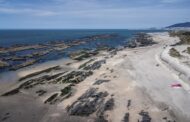 Ecossistemas da costa de Viana do Castelo vão ser vigiados
