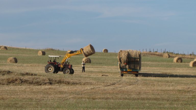 Ano agrícola foi o mais quente desde que há registo