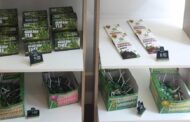 ASAE apreende bolachas, chupa-chupas, gomas e chocolates com canábis no Porto
