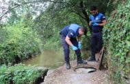 Guarda-rios da Vitrus registam 150 ocorrências no último ano em Guimarães