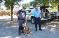 Câmara de Valença oferece à GNR bastão de identificação electrónica de animais errantes