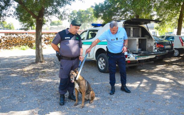 Câmara de Valença oferece à GNR bastão de identificação electrónica de animais errantes