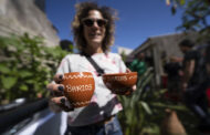 CCDR-N apoia projectos e actividades culturais do Cávado e Ave em 2024