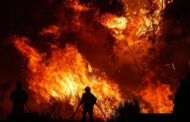 Fogos rurais atingem em Julho valor mais alto de 2024. Braga e Viana lideram tabela
