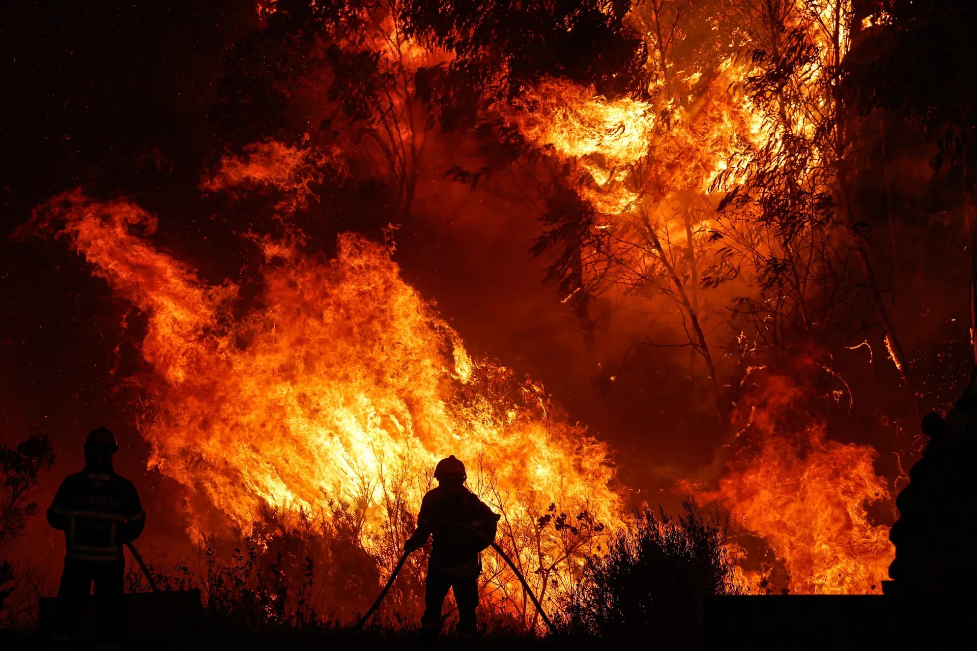 Fogos rurais atingem em Julho valor mais alto de 2024. Braga e Viana lideram tabela