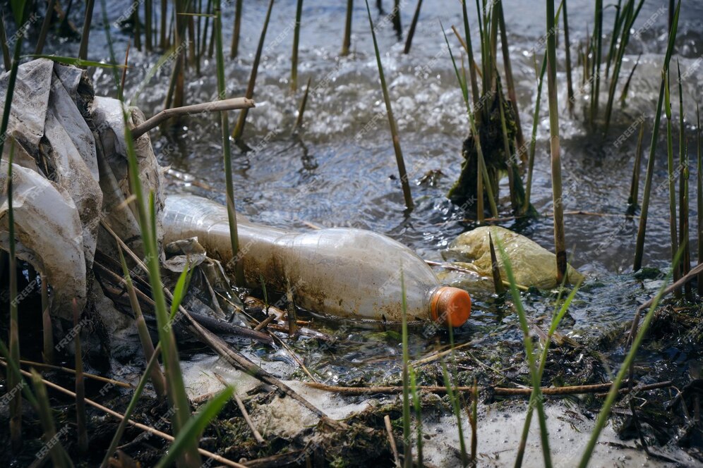 CleanUp4Guimarães alerta para plástico nos rios