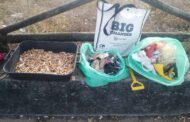 Activista ambiental denuncia a Montenegro lixo e beatas em praias de Esposende