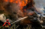 Póvoa de Lanhoso com 3000 hectares de área ardida e três casas atingidas