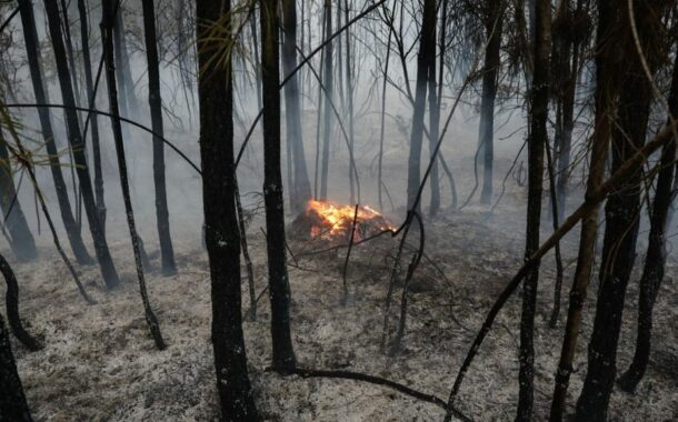 Montenegro promete rapidez e simplificação nos apoios às vítimas dos incêndios