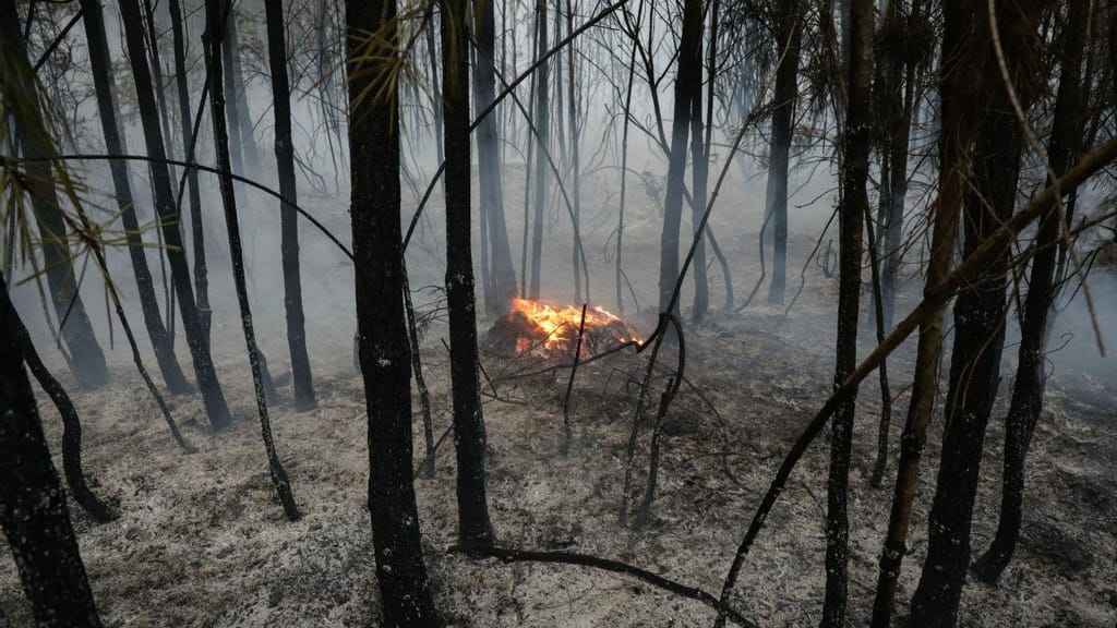 Montenegro promete rapidez e simplificação nos apoios às vítimas dos incêndios