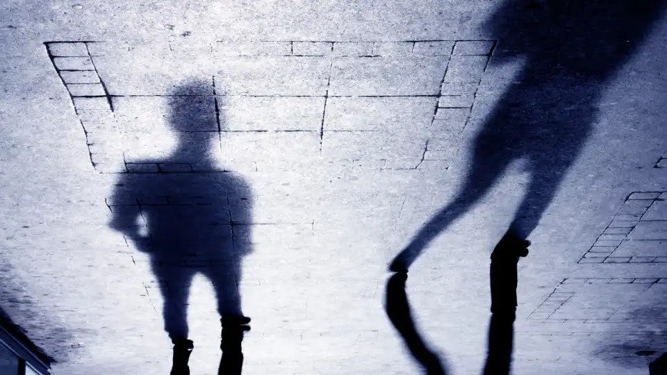 PJ apanha homem que abusou de sete menores no Verão