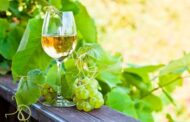 Vinhos Verdes estimam produção 90 milhões de litros de “excelente qualidade”