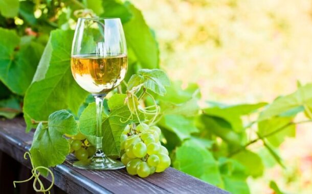 Vinhos Verdes estimam produção 90 milhões de litros de “excelente qualidade”