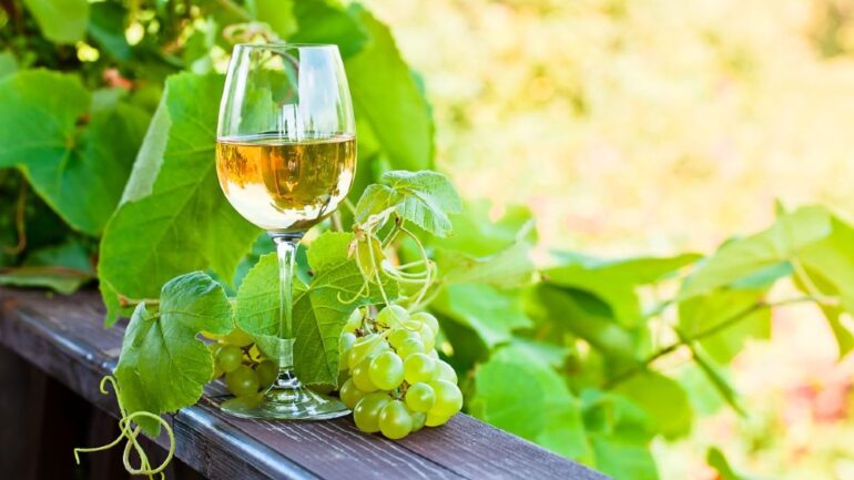 Vinhos Verdes estimam produção 90 milhões de litros de “excelente qualidade”