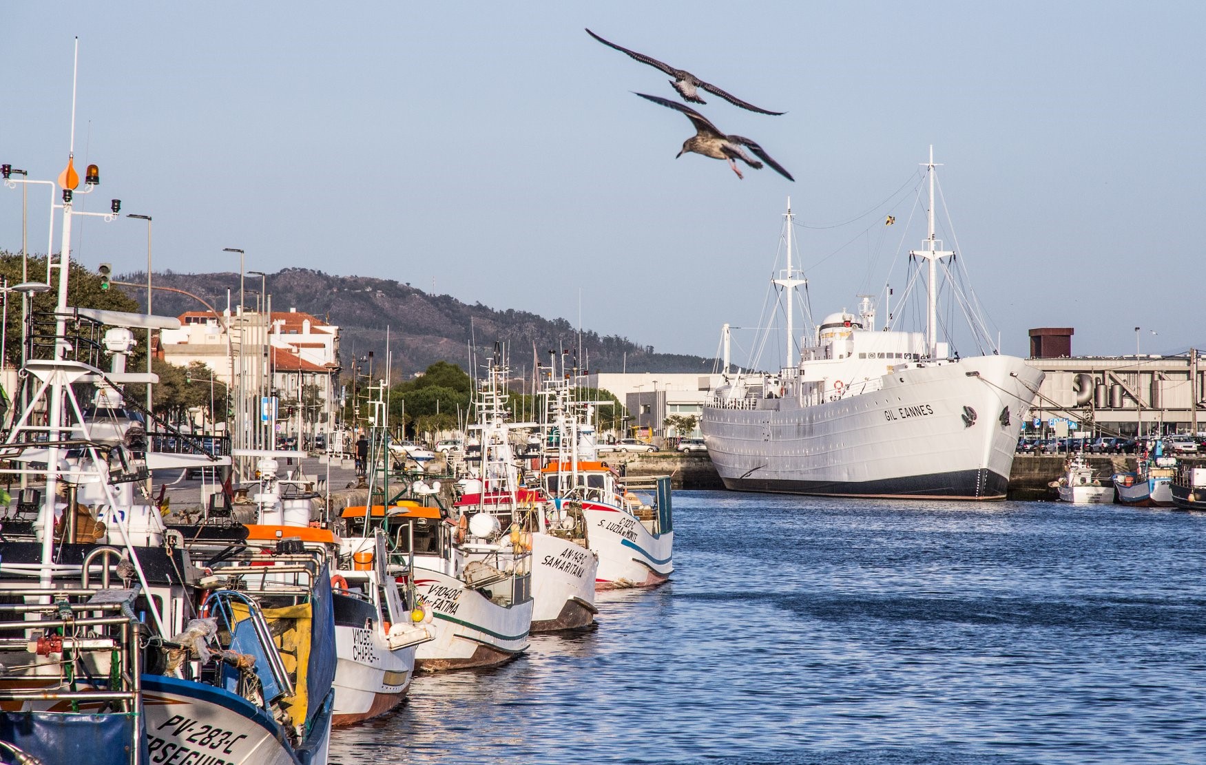 Viana do Castelo tem 55 medidas para fazer frente às alterações climáticas até 2030