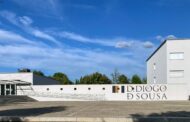 Museu de Arqueologia D. Diogo de Sousa mostra ‘Arte Rupestre no Tempo e no Espaço: O Norte de Portugal’
