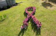 Póvoa de Lanhoso promove Caminhada Rosa dia 27