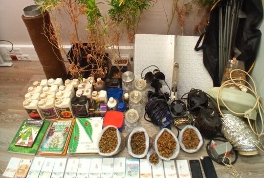 Homem identificado por cultivo de produtos estupefacientes em Ponte de Lima
