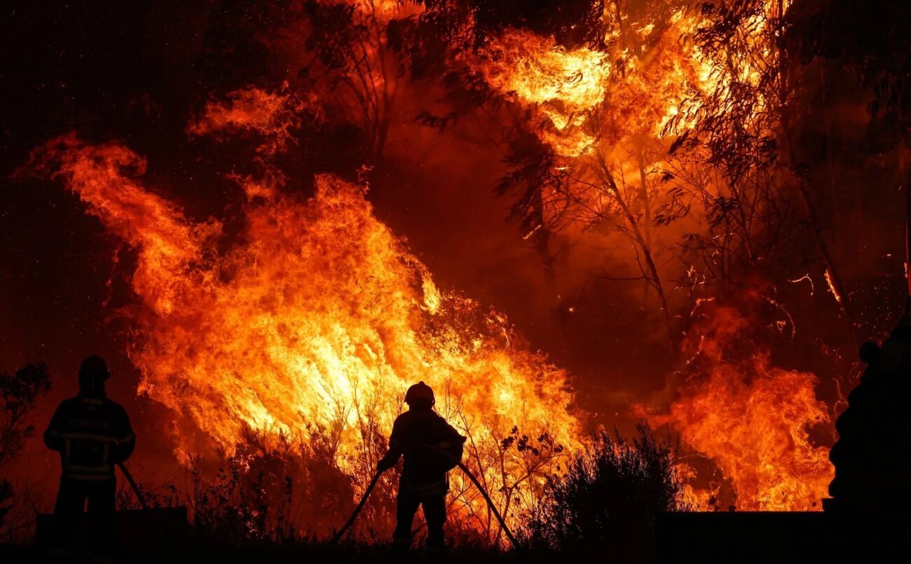 Já há verbas disponíveis para apoiar pessoas afectadas pelos fogos