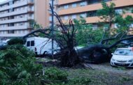 Tempestade Kirk teve ‘ventos anómalos’ e derrubou mais de 130 árvores em Braga